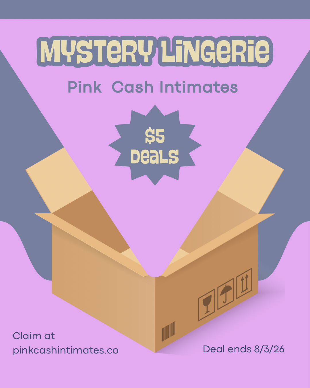 Mystery Lingerie